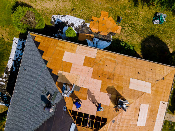 Best Storm Damage Roof Repair  in Lake Kerr, FL