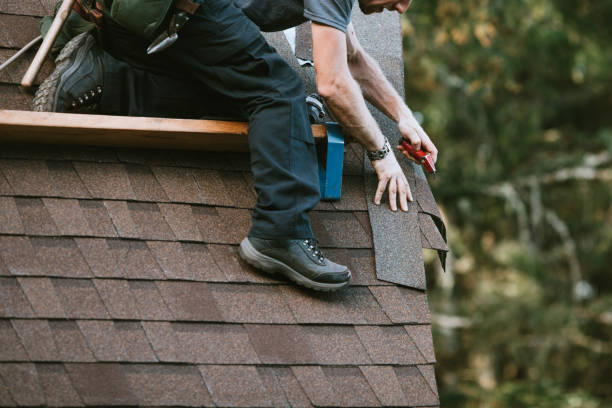 Best Gutter Installation and Roofing  in Lake Kerr, FL
