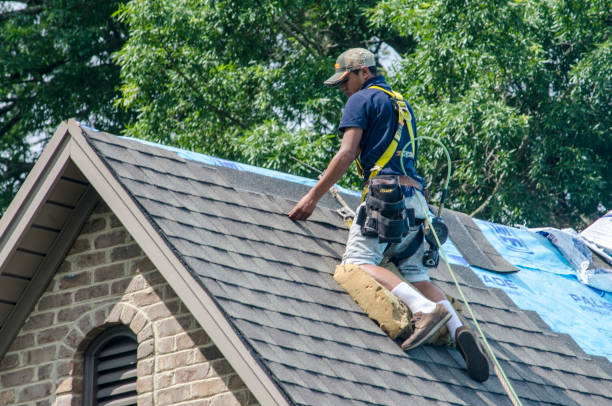 Best Residential Roofing Contractor  in Lake Kerr, FL